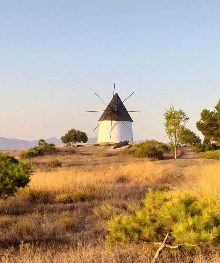Cortijo Los Garridos - 8 Huespedes Fernan Perez エクステリア 写真