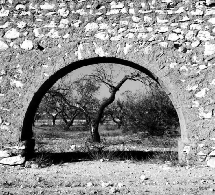 Cortijo Los Garridos - 8 Huespedes Fernan Perez エクステリア 写真