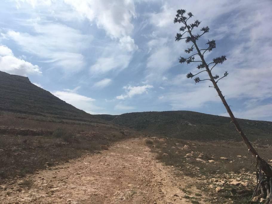 Cortijo Los Garridos - 8 Huespedes Fernan Perez エクステリア 写真