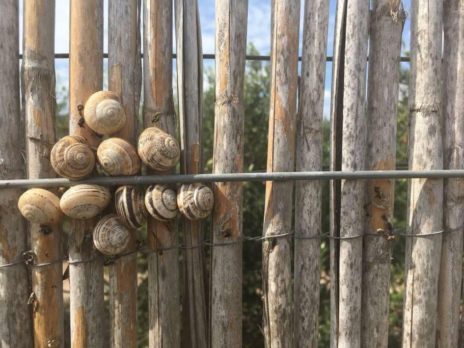 Cortijo Los Garridos - 8 Huespedes Fernan Perez エクステリア 写真